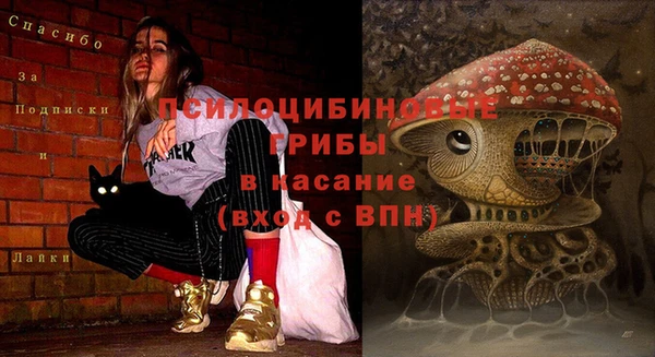 молекула духа Бронницы