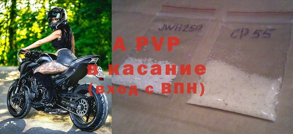 молекула духа Бронницы