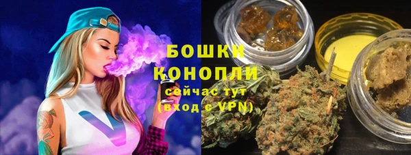 молекула духа Бронницы