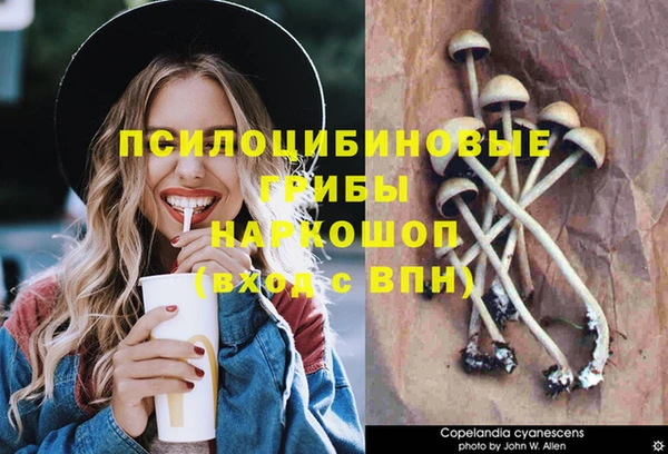молекула духа Бронницы