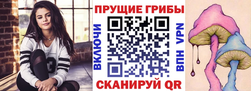 Псилоцибиновые грибы MAGIC MUSHROOMS  площадка Telegram  Грязовец 